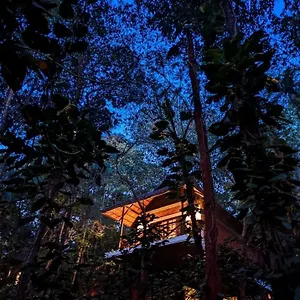 Coffee Acres Resort Kalpetta